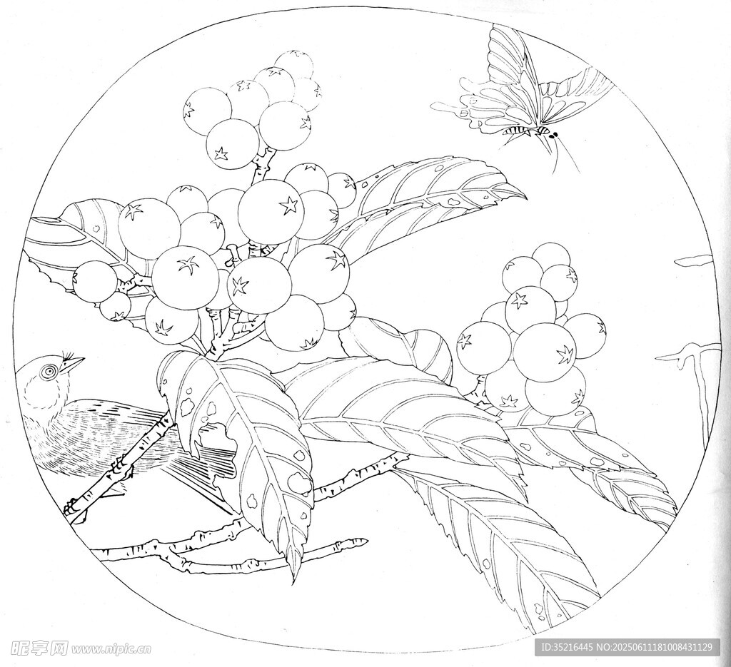 白描花卉图