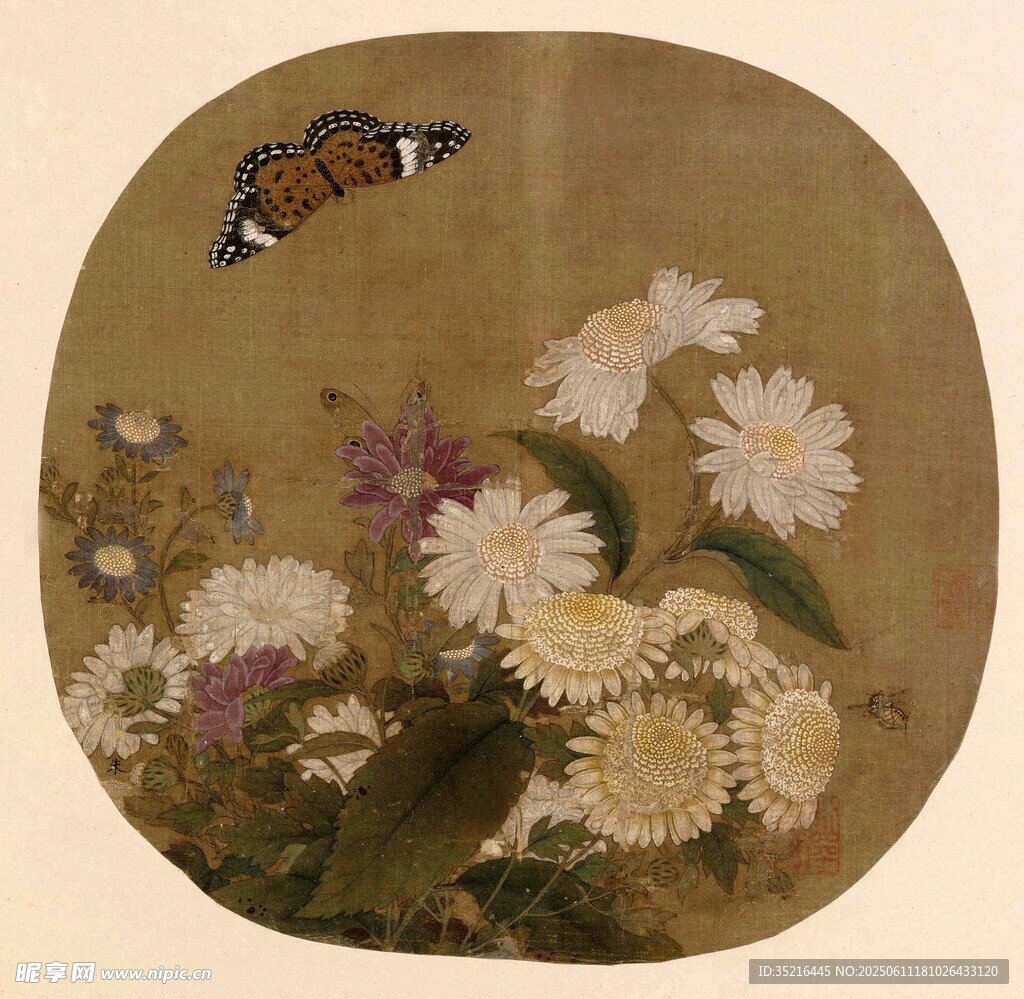 蝶舞菊丛图