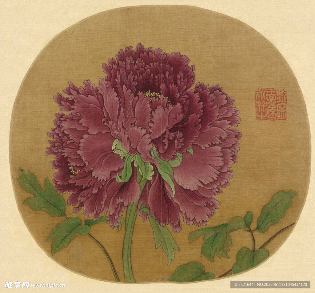 圆形紫牡丹国画