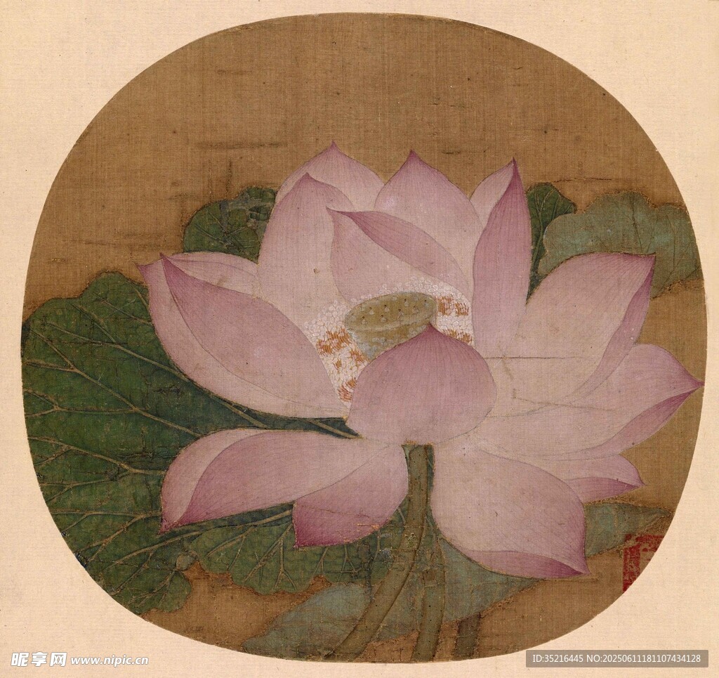 古典荷花图
