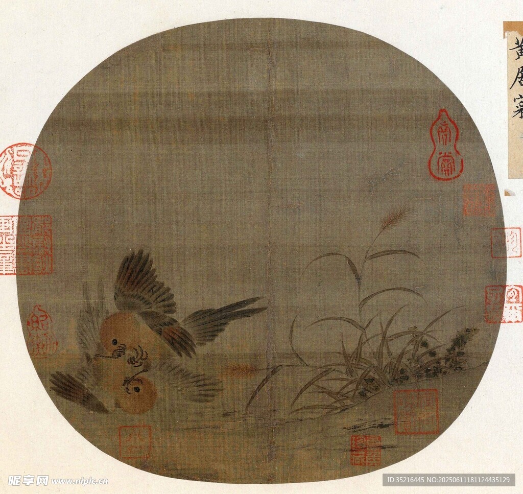 宋画花鸟图