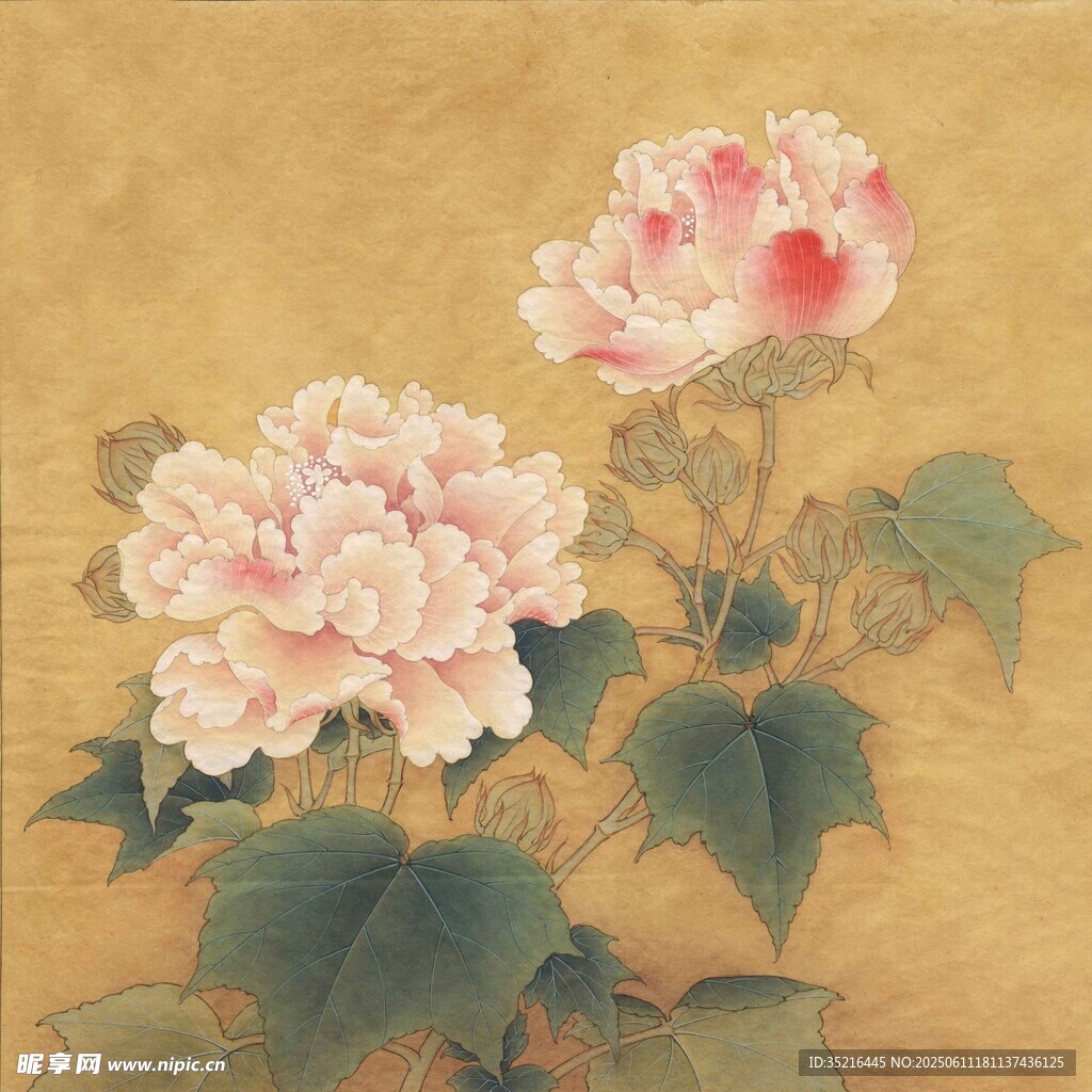 国画牡丹花卉图