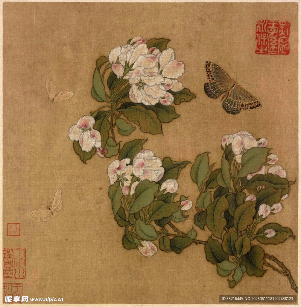 工笔花卉蝴蝶图