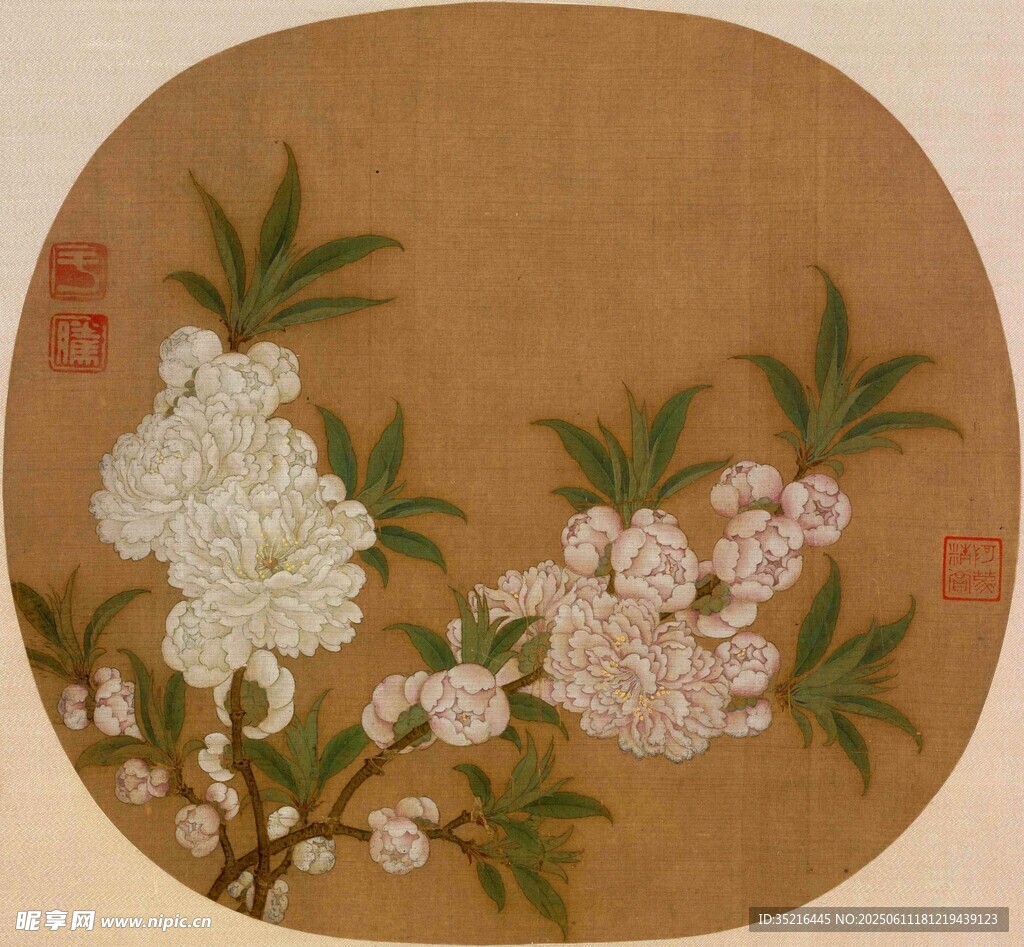 圆形勾勒的水墨兰花线条图