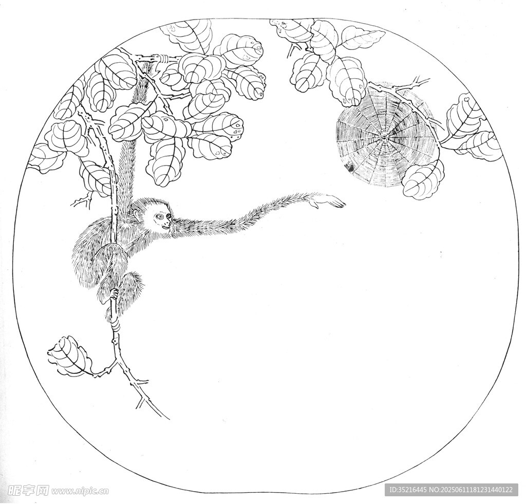 圆形花鸟白描图