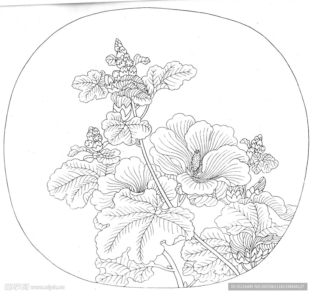 圆形白描花卉图