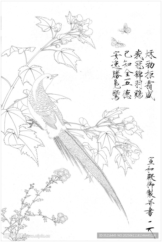 工笔花鸟白描画稿