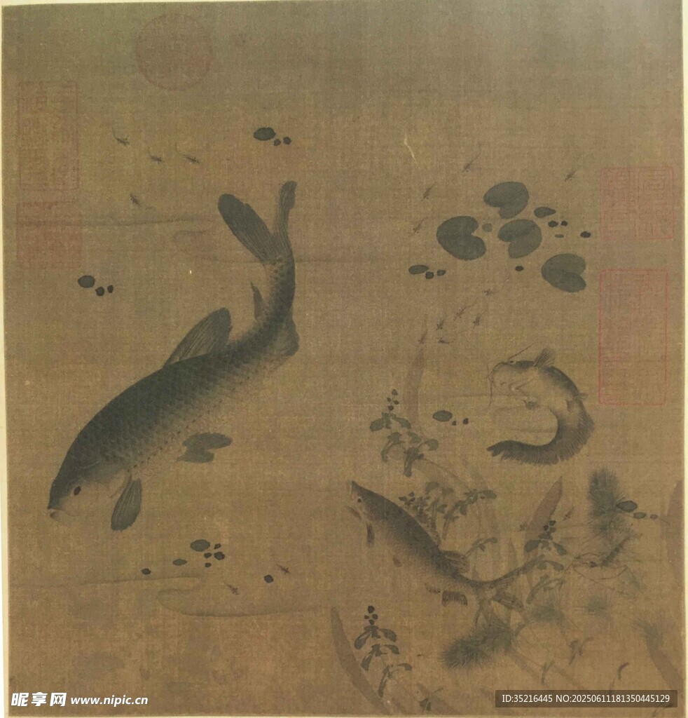 水墨锦鲤图