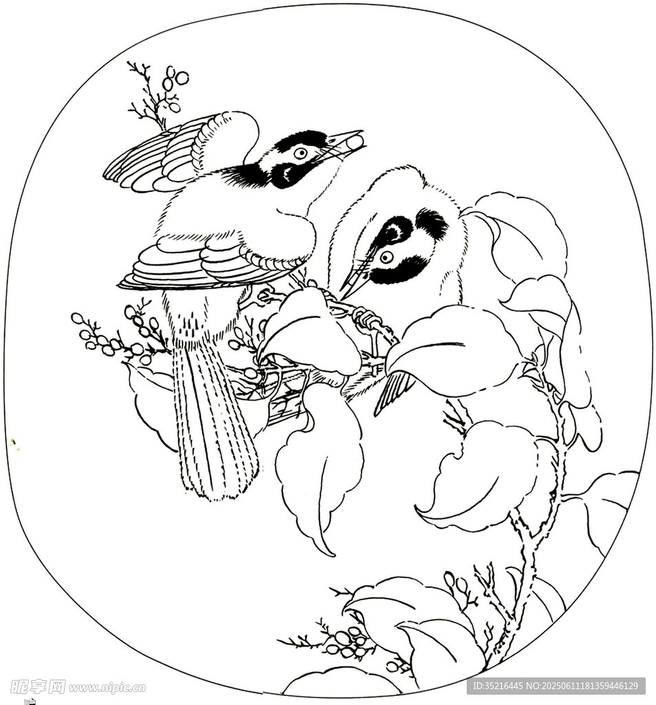 花鸟白描图