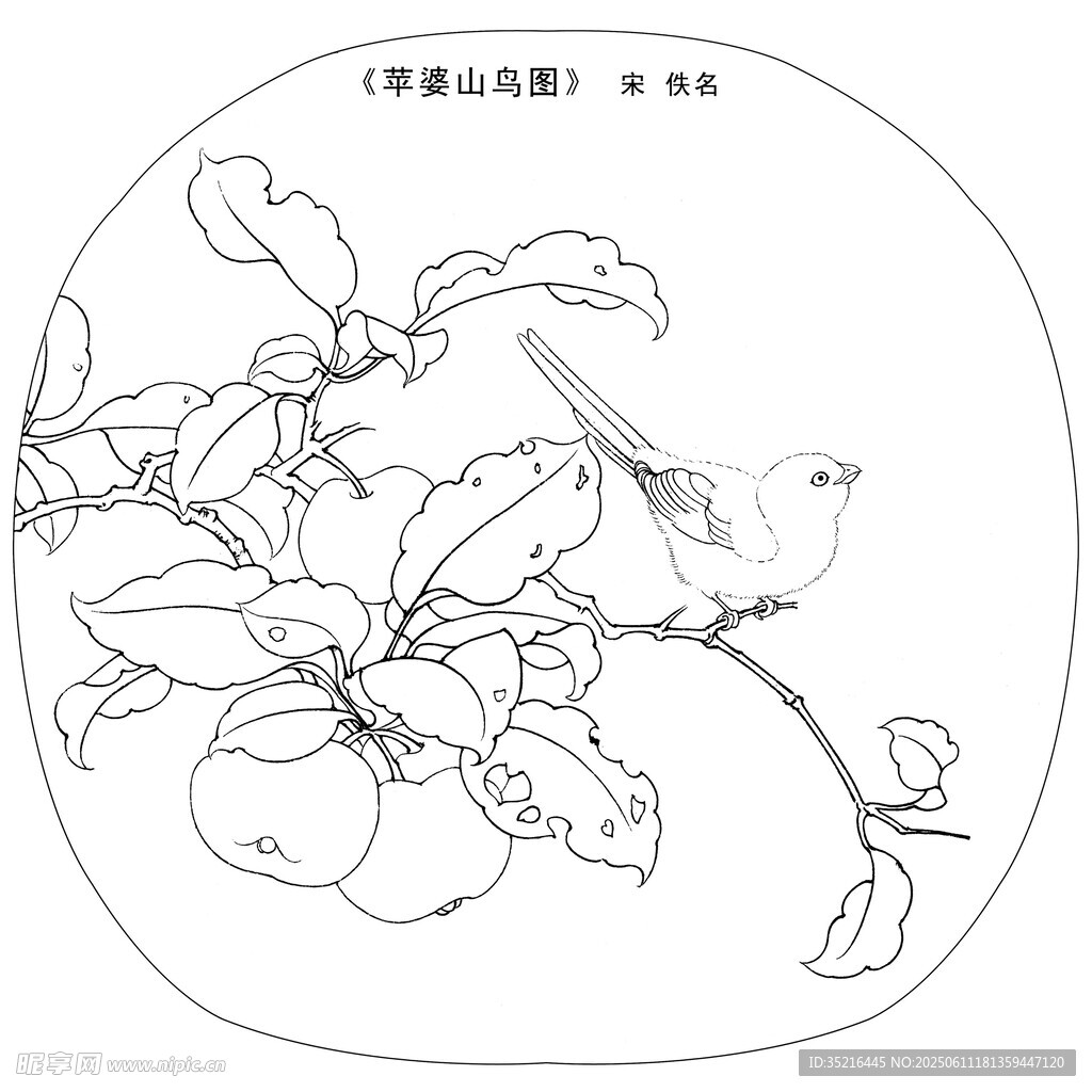 花鸟蔬果白描图