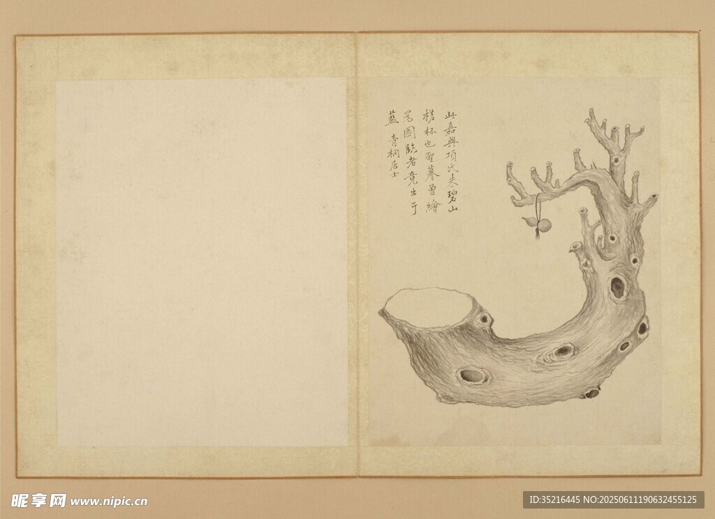 古代花卉绘画古籍页面