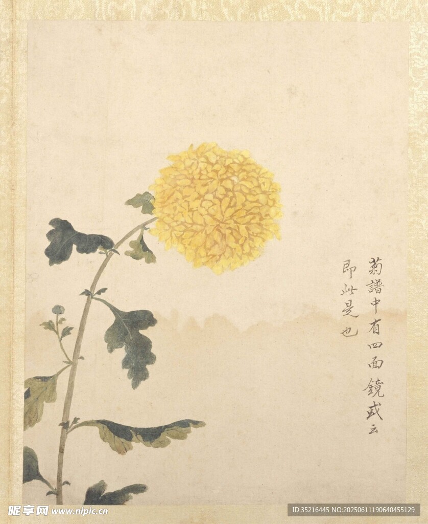 中式水墨向日葵花卉图