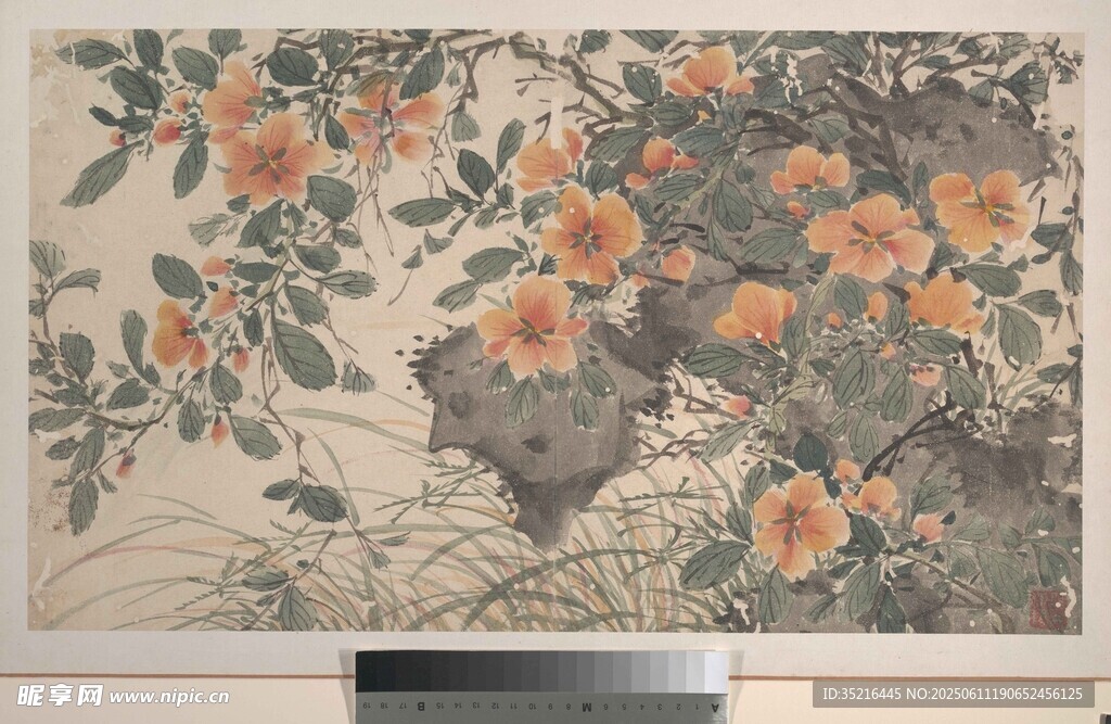 花卉图案织物