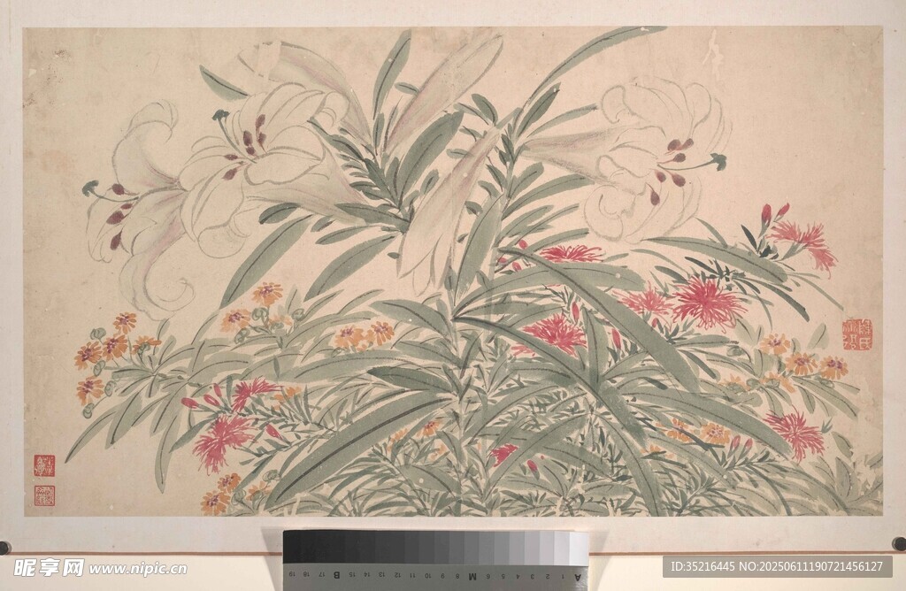 中式花卉植物水墨画
