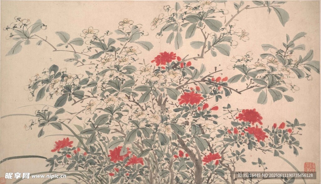 国画花卉图