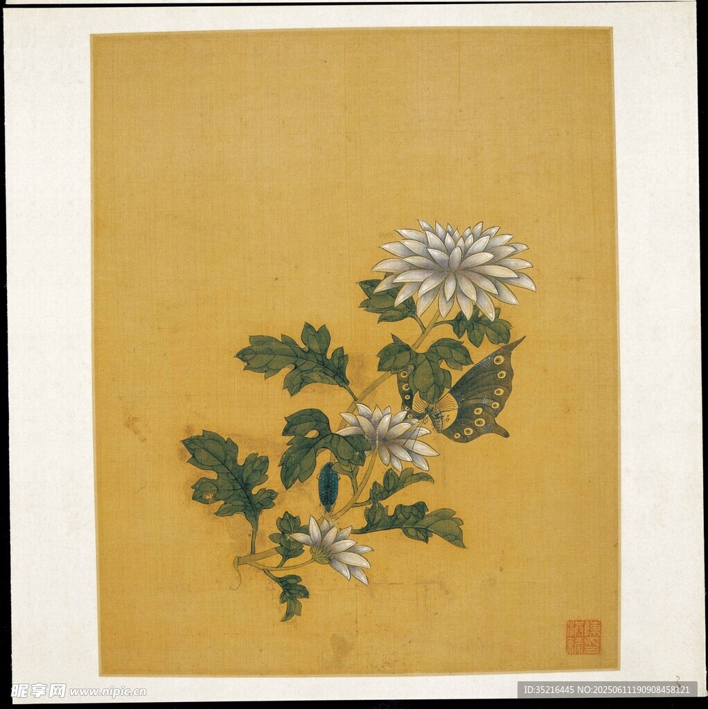 中式菊花花卉绘画作品