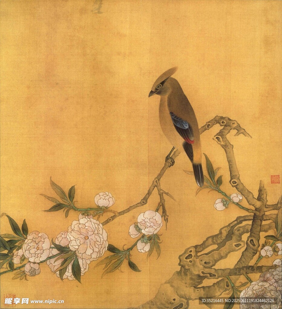 枝头鹊立赏繁花