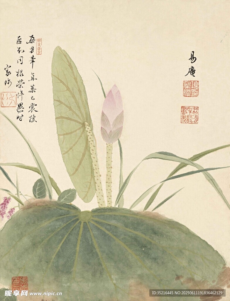 水墨荷花图