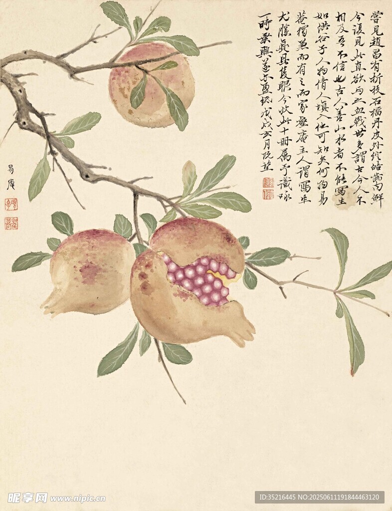 国画石榴图