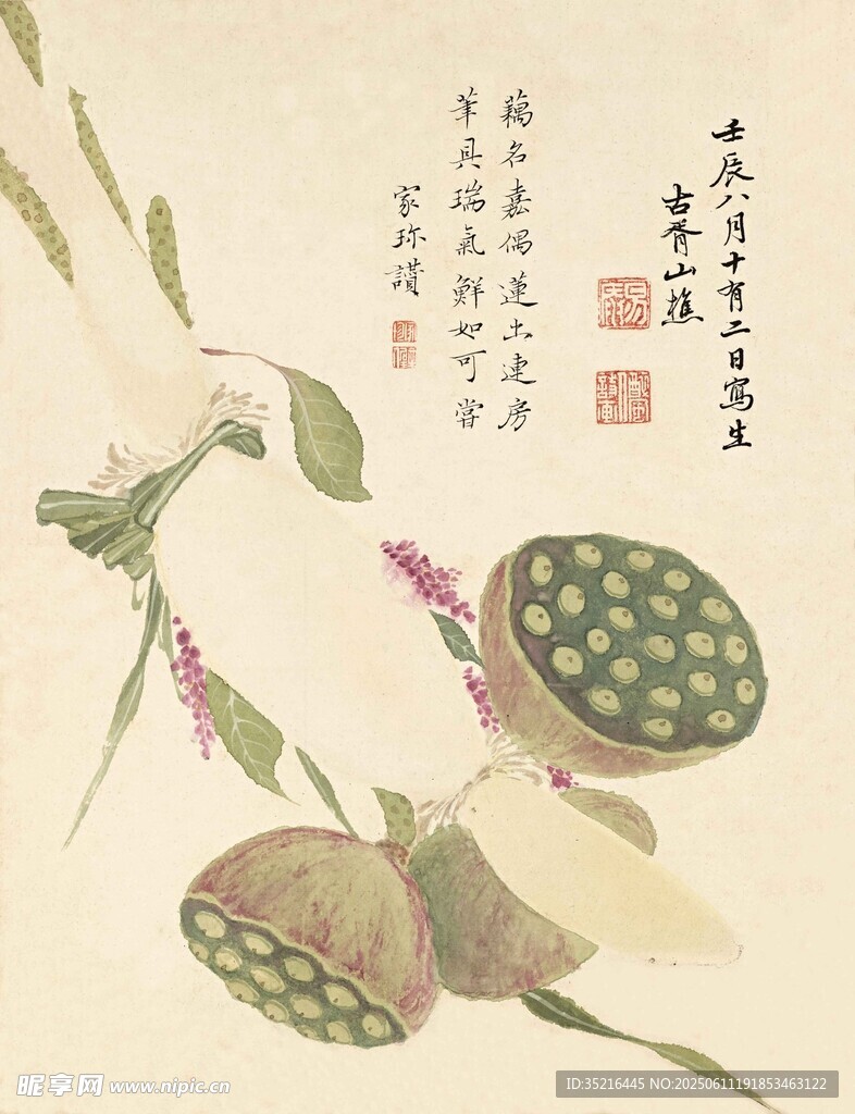 水墨风植物花卉图