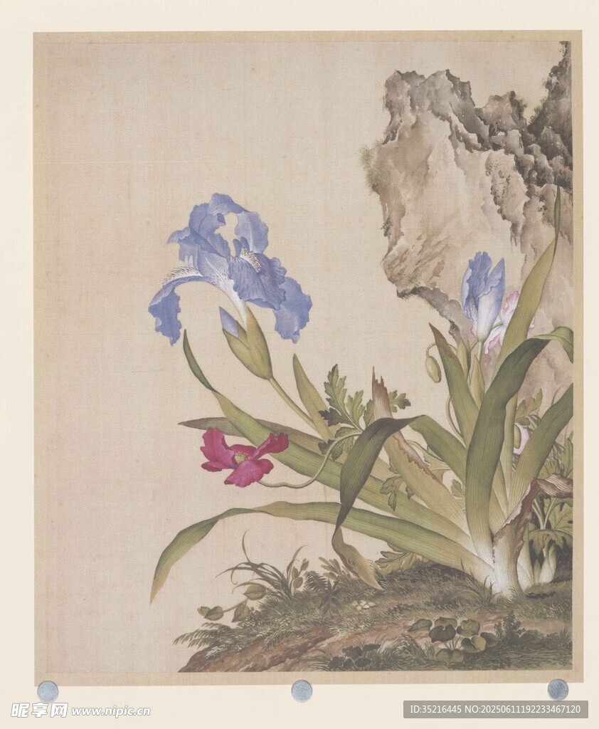 中式花卉古画