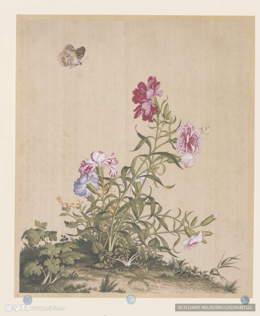 中式花鸟图