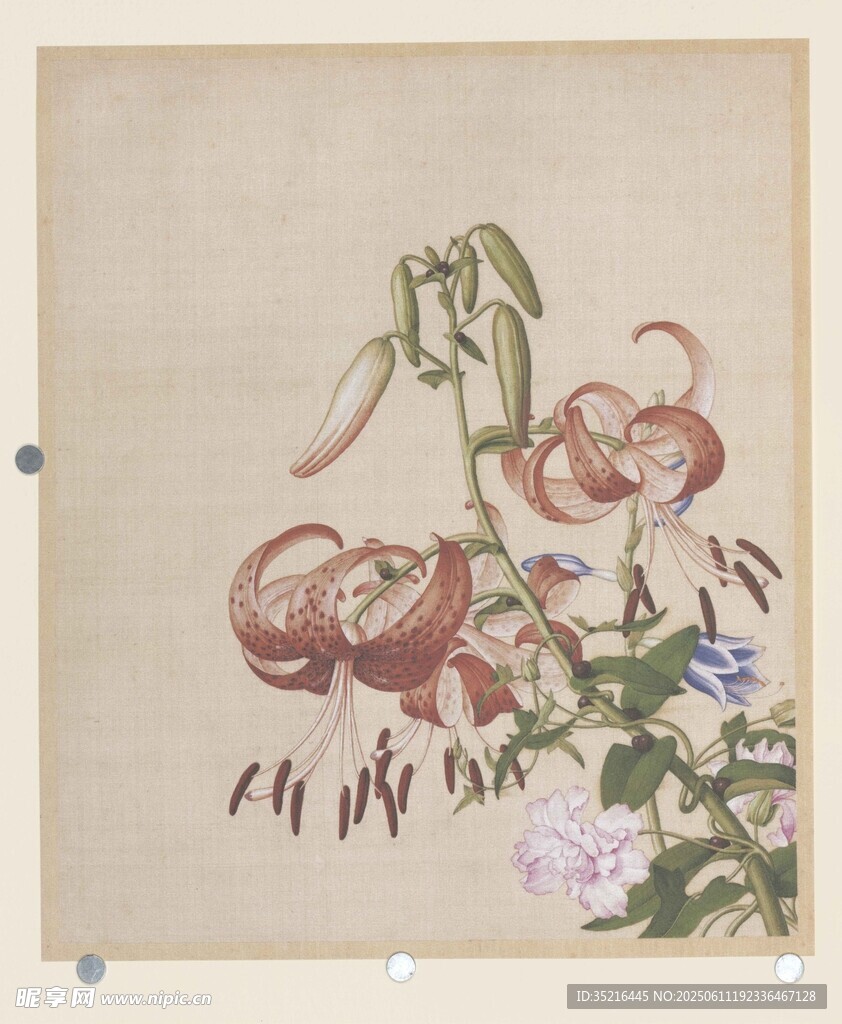 花卉国画小品