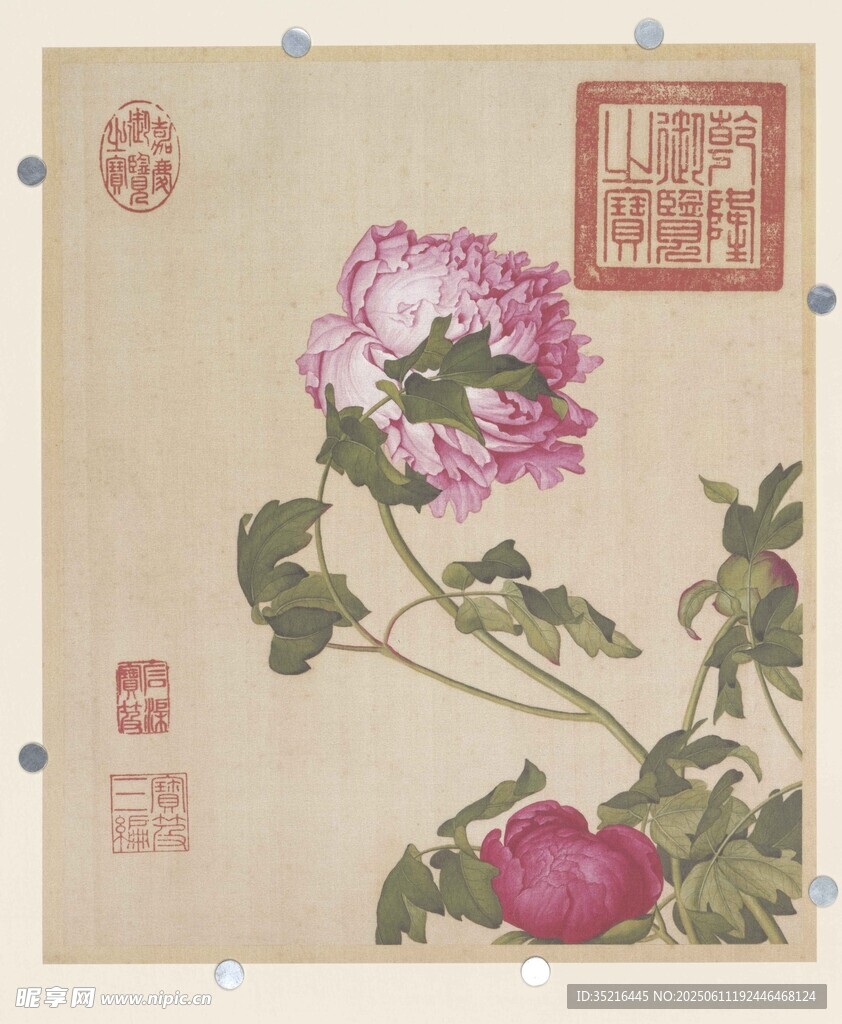 国画牡丹花卉图