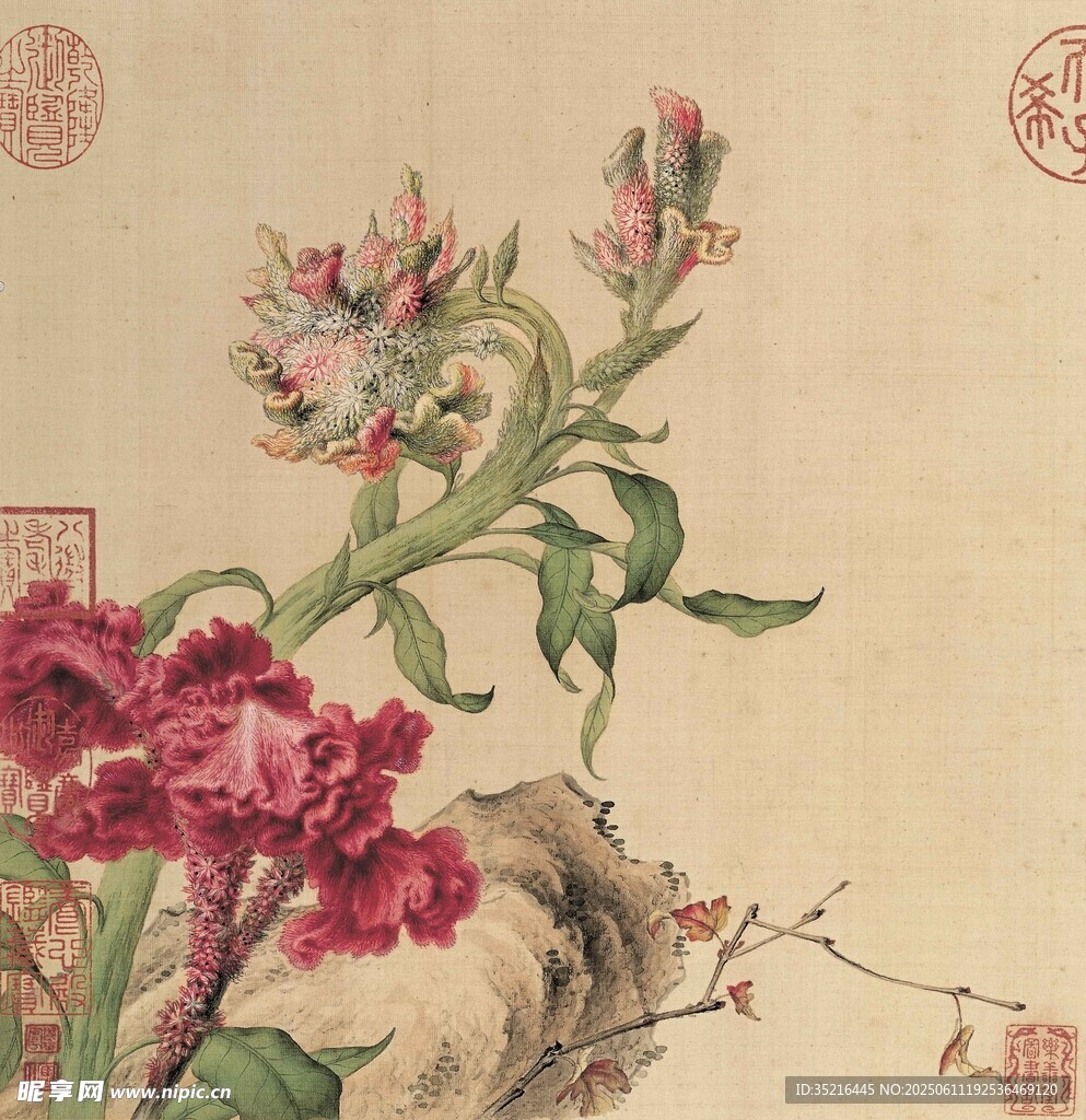 古典花卉图