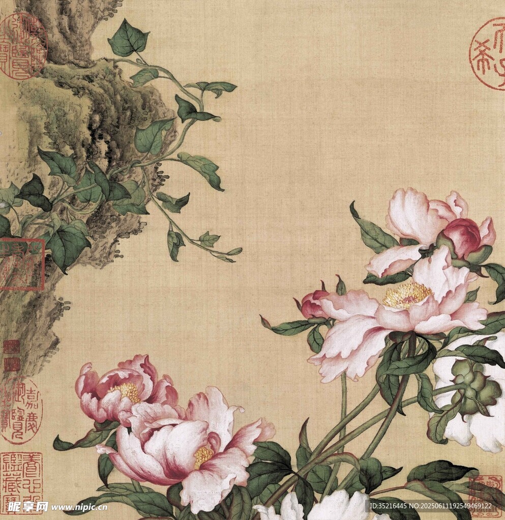 国画牡丹花卉图