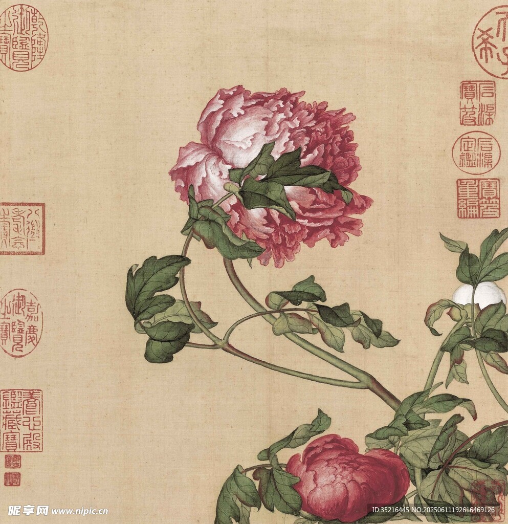 国画牡丹花卉图