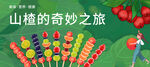 山楂 冰糖葫芦