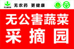 无公害蔬菜采摘园宣传图