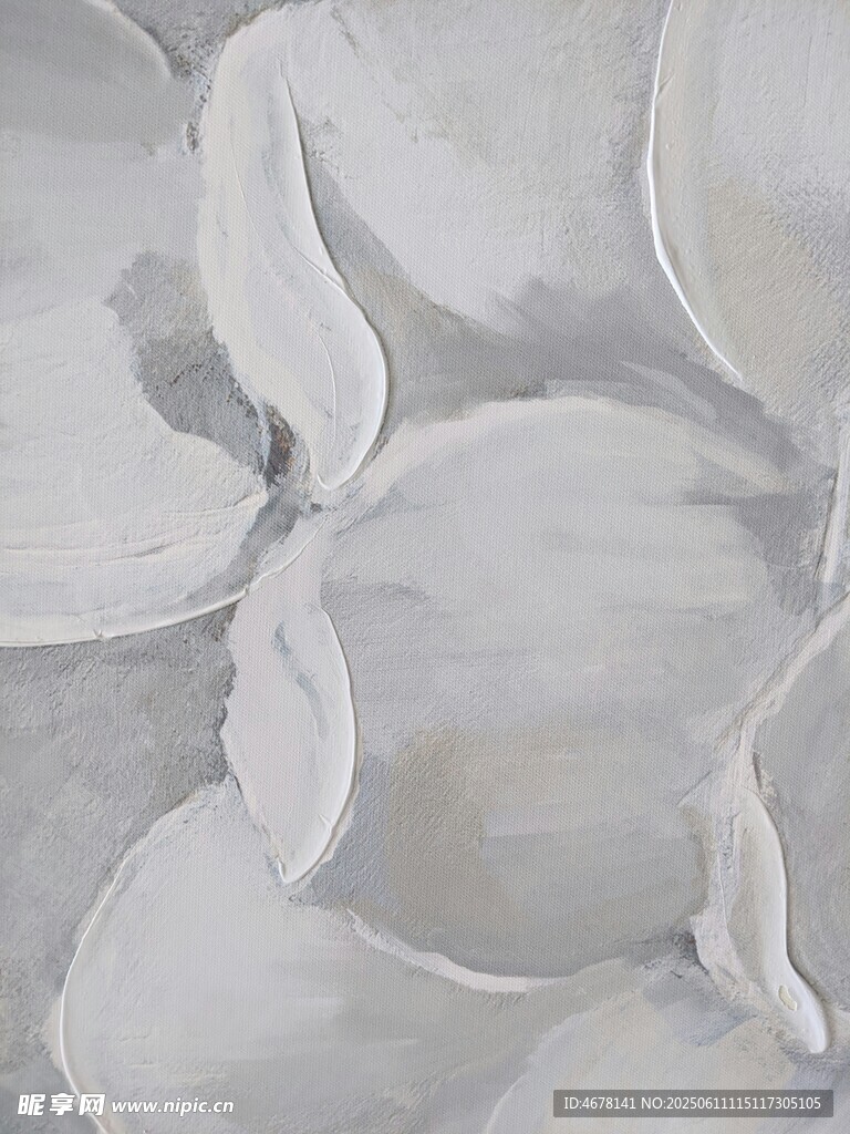 白色花瓣纹理特写