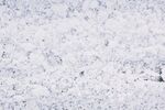 细腻白色雪面纹理特写