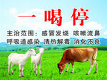 一喝停兽药宣传图
