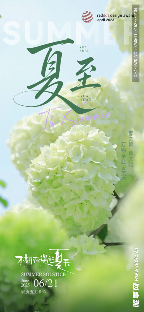 夏至节气海报