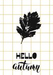 你好秋天简约树叶插画