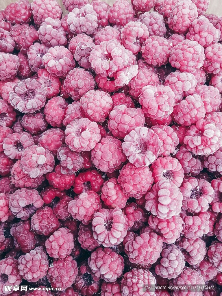 粉色绒球花卉特写