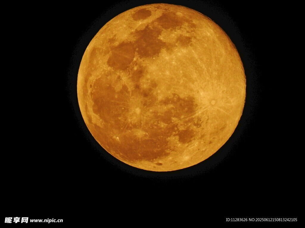 金黄满月悬于夜空