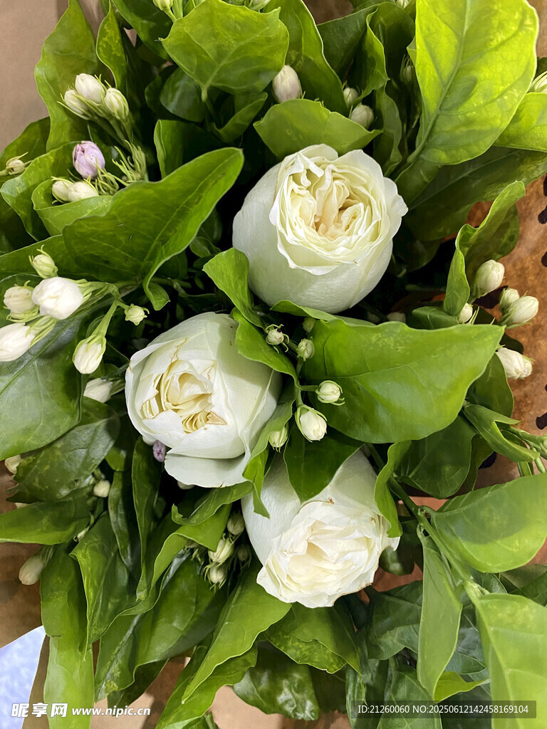 白玫瑰花束