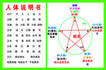 人体说明书