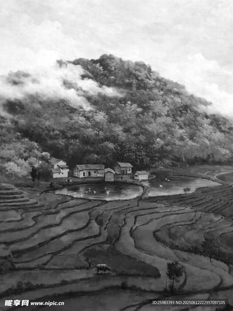 梯田