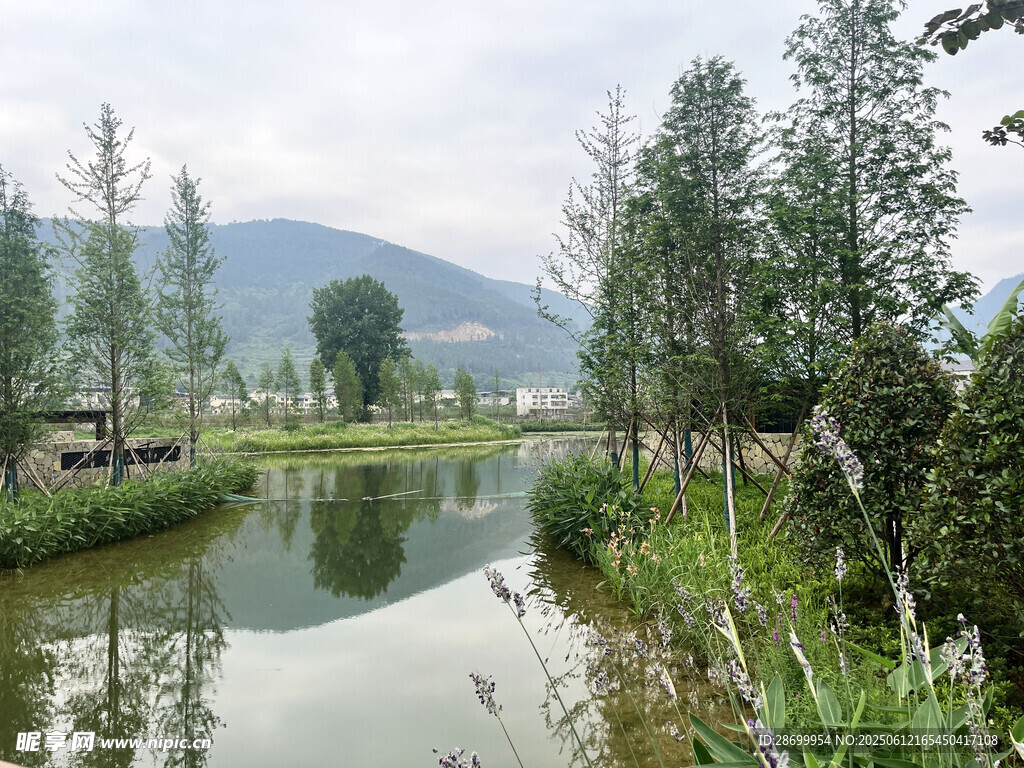 湖光山水图