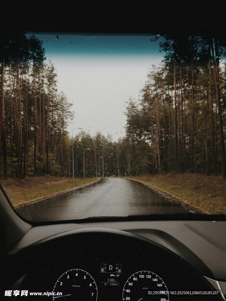 车内视角的林间公路景色