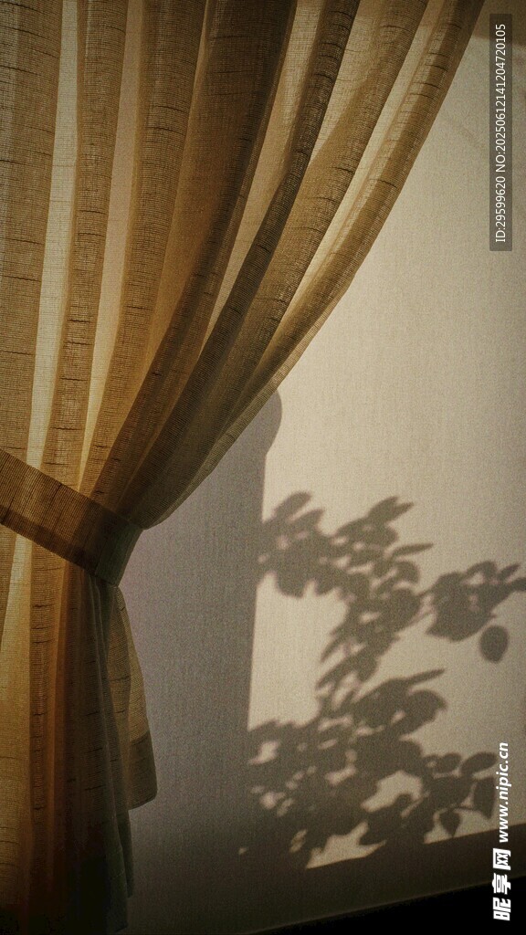 窗边窗帘与树影的静谧画面