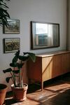 简约室内一角的绿植与家具
