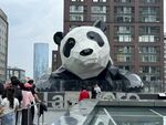 成都街头的巨型熊猫雕塑