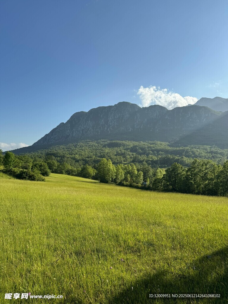 广袤绿野与远山美景
