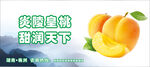 黄桃